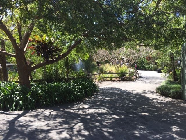 Symbio Wildlife Park - Thursday 15th October, 2020 Image -5f8d03bac8441